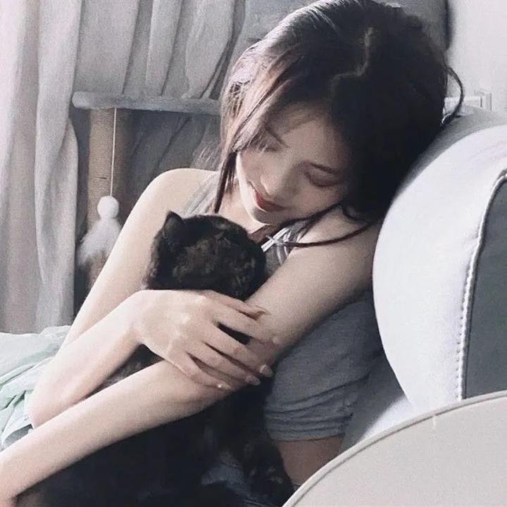 极秘搜查
